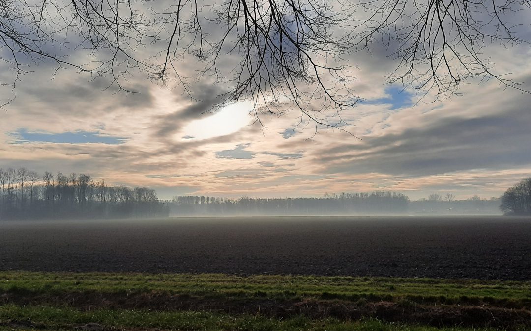 Persoonlijke berichten | 2 Dronten