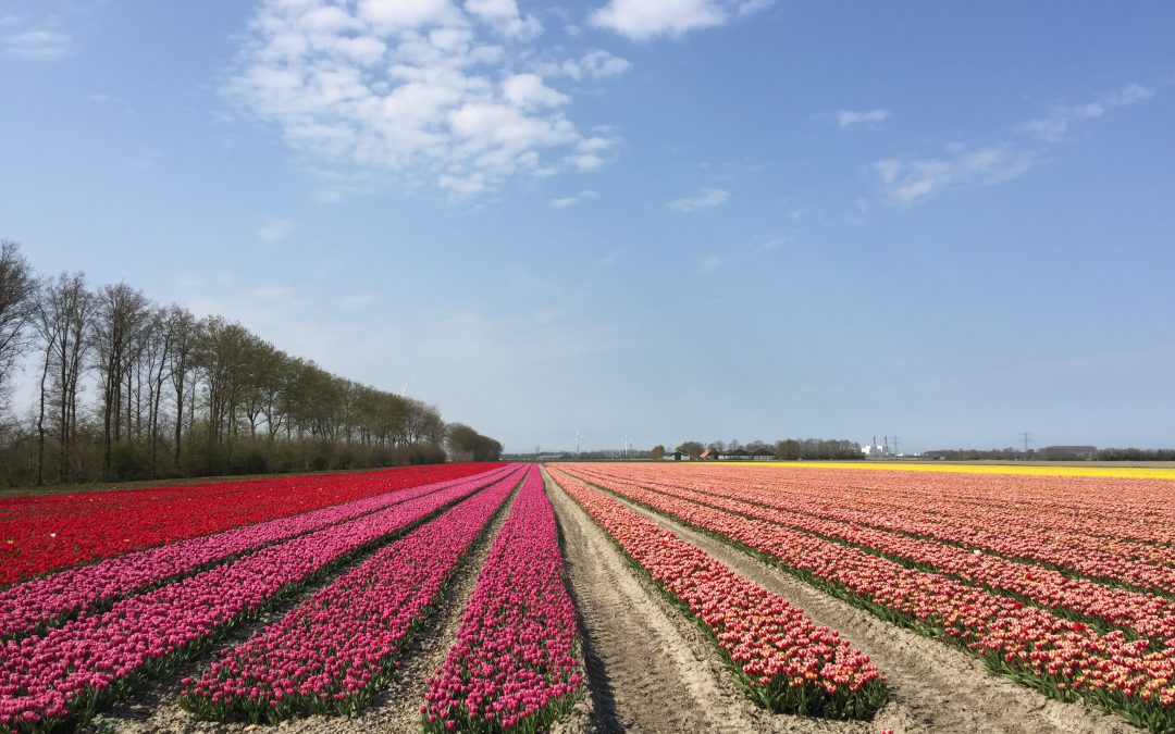 Persoonlijke berichten | 1 Dronten