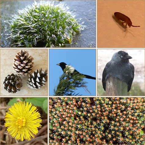 ‘Natuurbeleving’