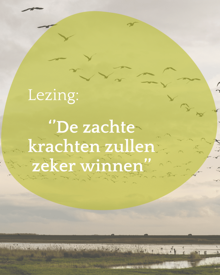 Lezing: De zachte krachten zullen zeker winnen