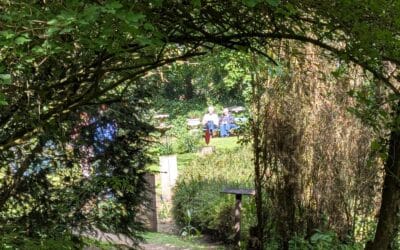 Terugblik: Wandeling in de Levenstuinen